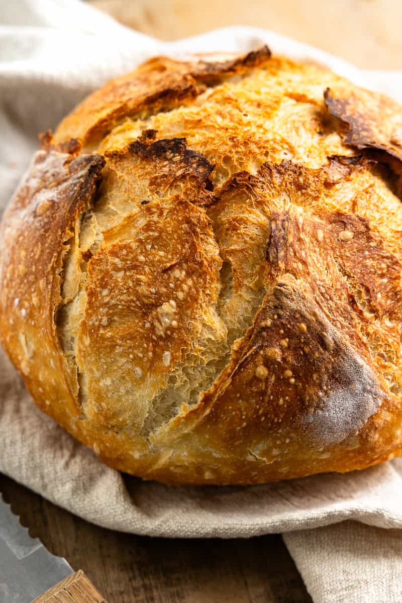 Easy No-Knead Crusty Bread