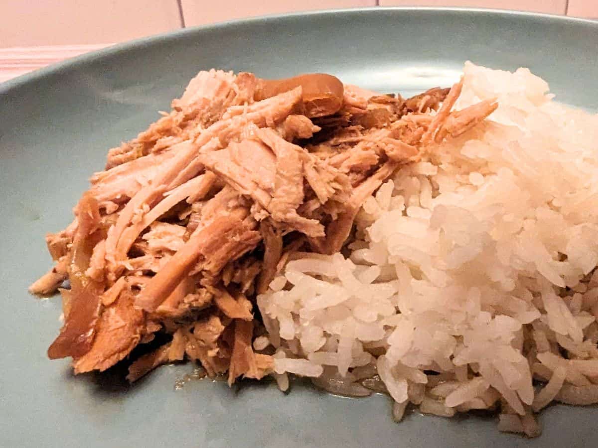 Slow Cooker Garlic and Onion Roast Pork