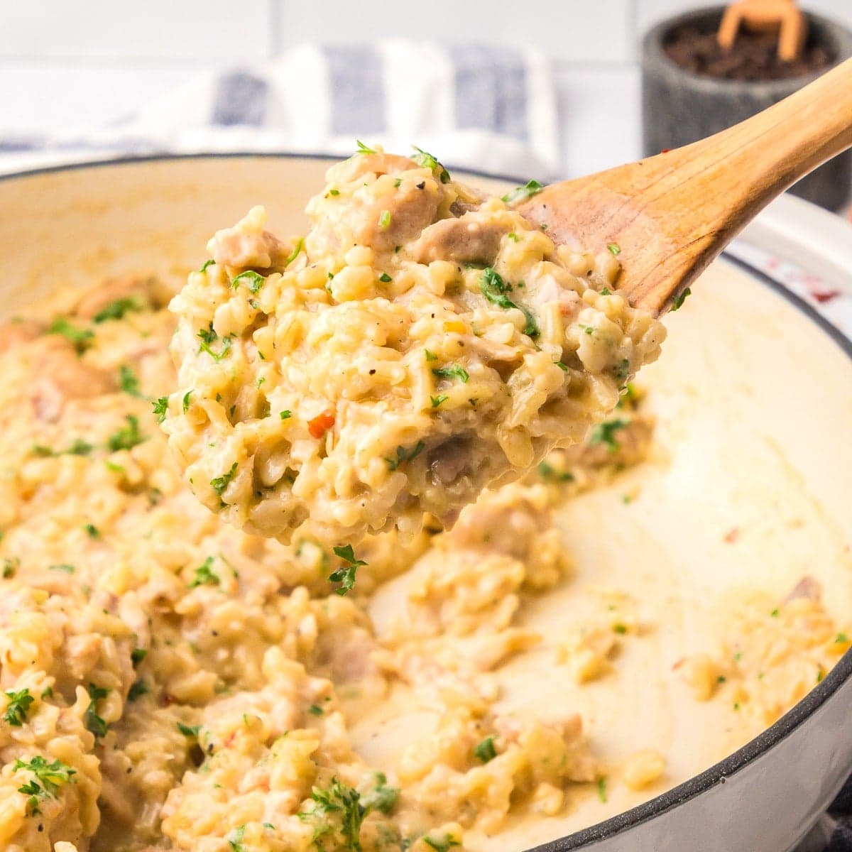 Creamy Chicken And Rice (One Pot!)