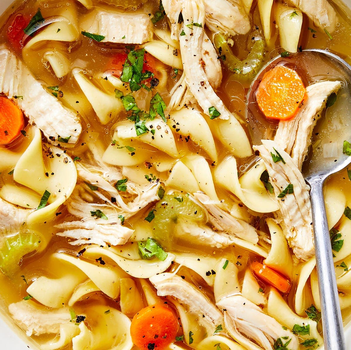 Chicken Noodle Soup