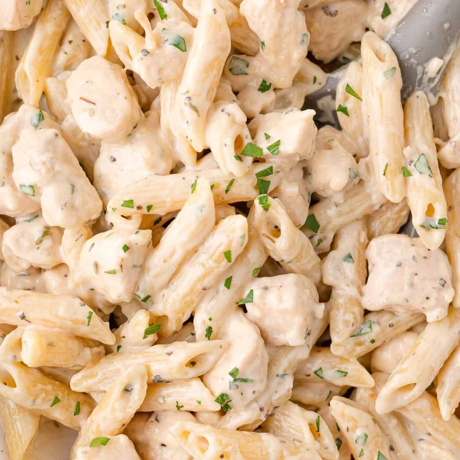 Creamy Chicken Pasta (One Pot!)