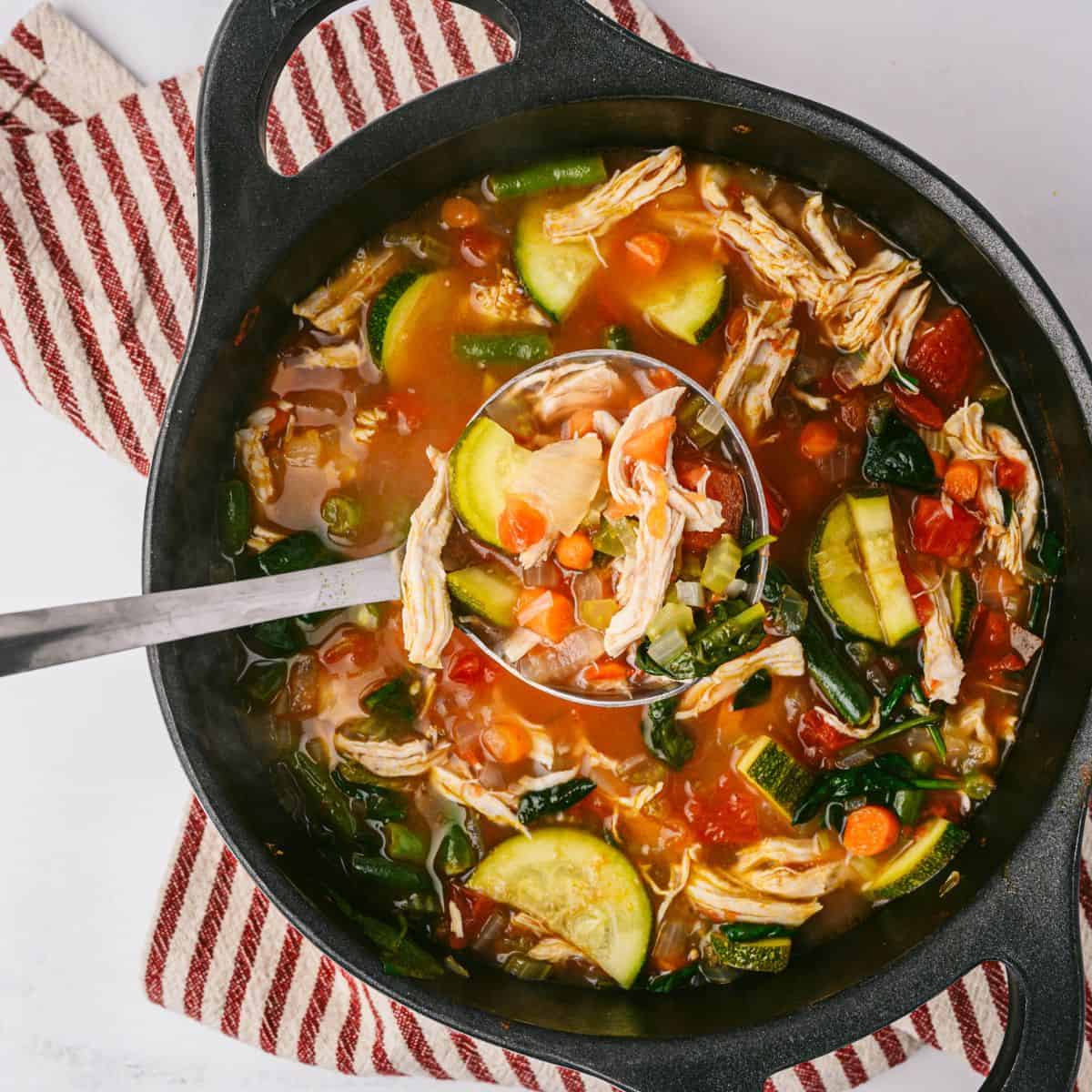 Chicken Vegetable Soup