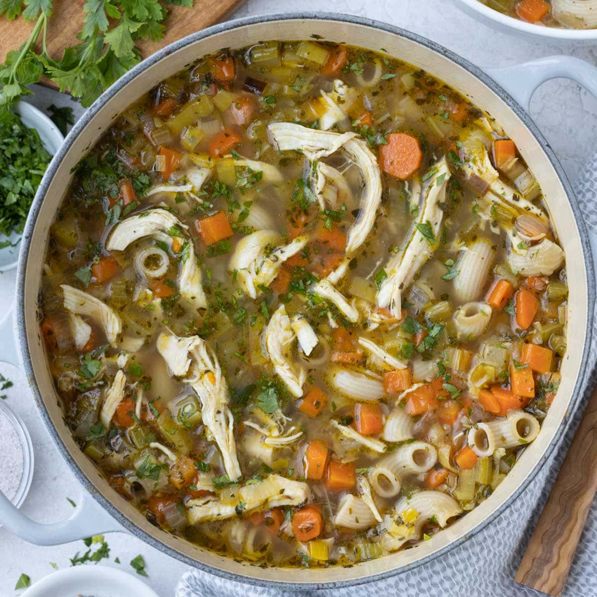 Homemade Chicken Vegetable Soup Recipe