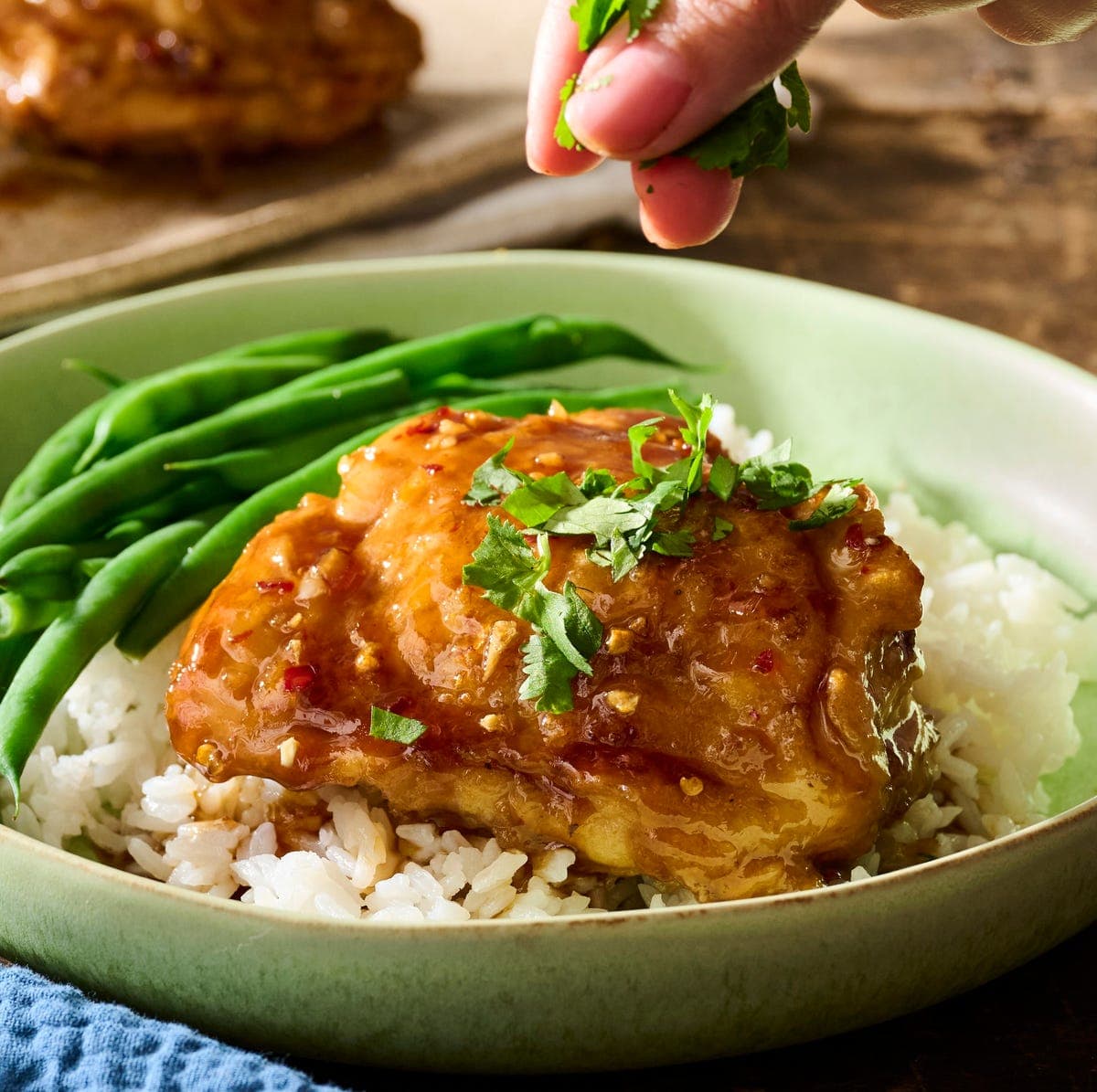 Honey-Garlic Chicken Thighs
