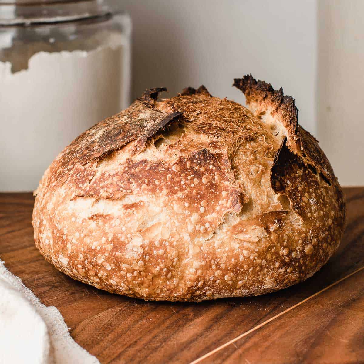 Beginner Sourdough Bread