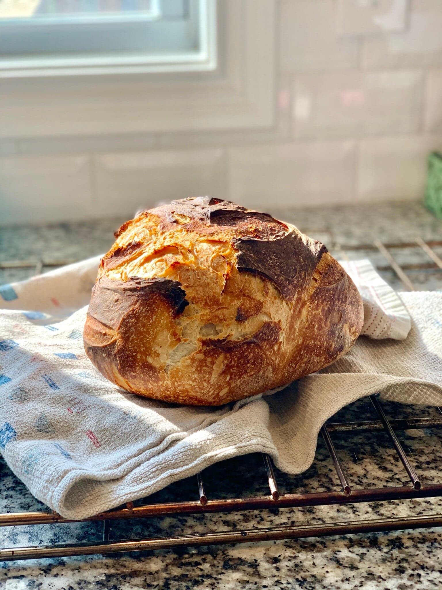 Beginner Sourdough Bread