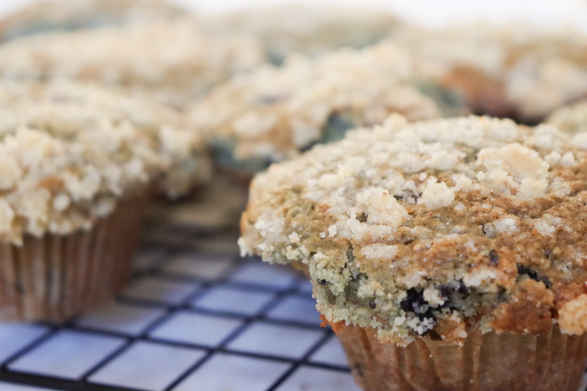 The Most Delicious Sourdough Blueberry Muffins