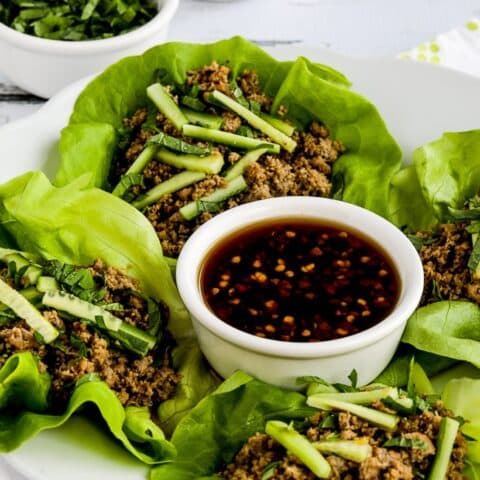 Thai Turkey Lettuce Wraps