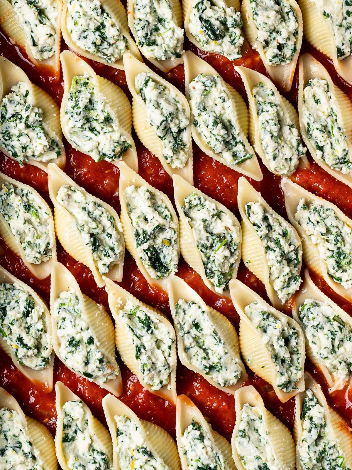 Stuffed Shells Recipe