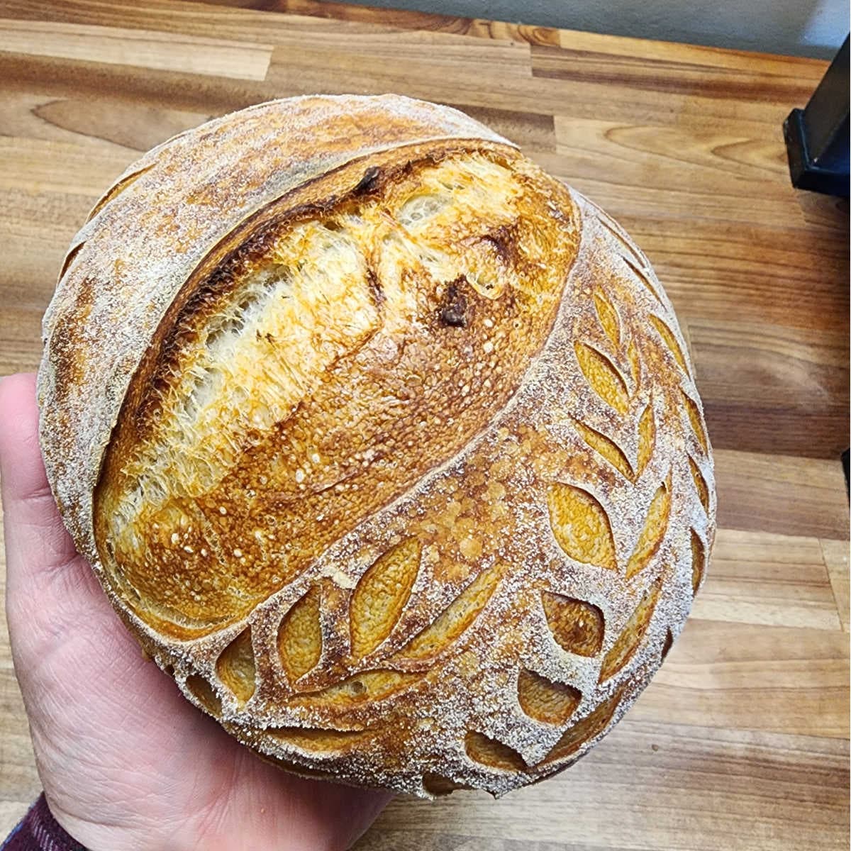 Beginners Sourdough Bread