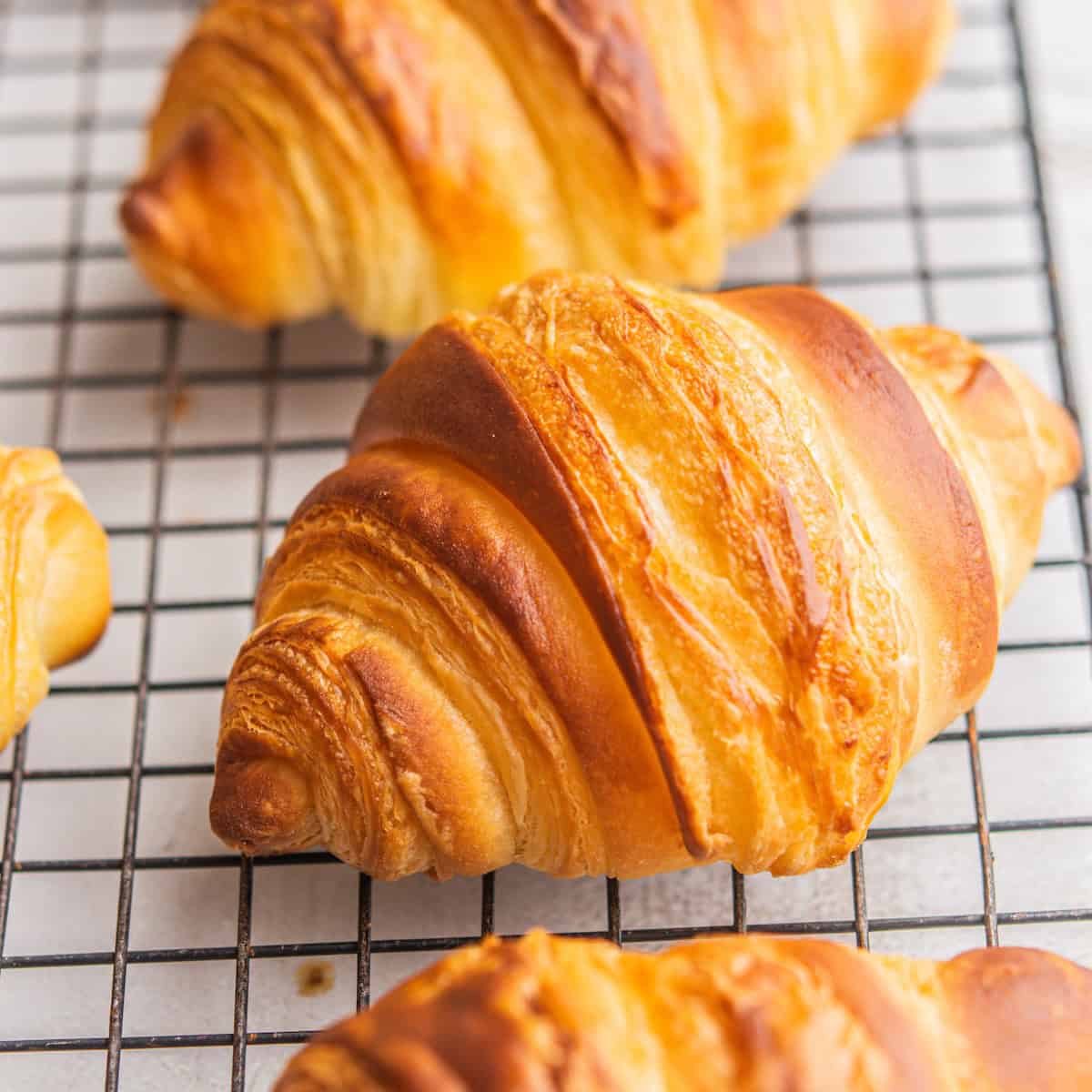 Homemade Croissants Step-by-Step