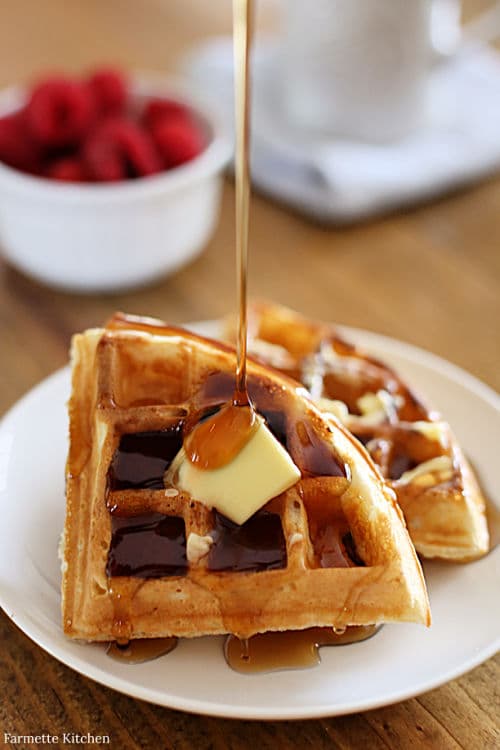 Basic Waffle Recipe