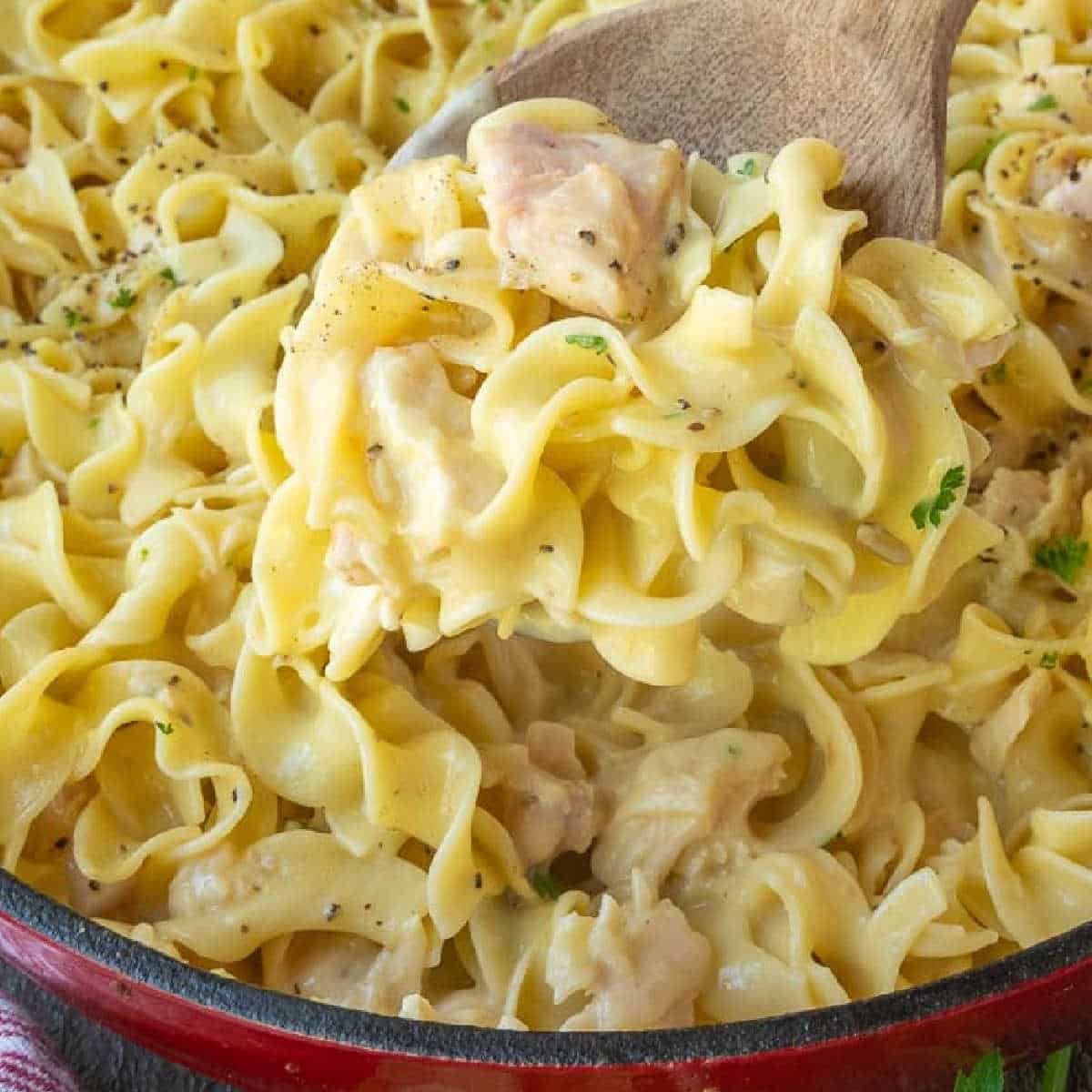 One Pot Chicken and Noodles Skillet